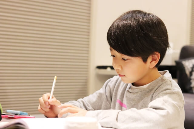 集中して勉強する若い男の子